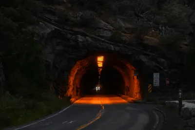 DSC_4542 (Large).JPG